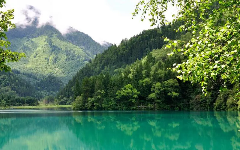 精密环保